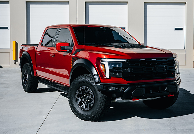 Gallery-Red-Raptor